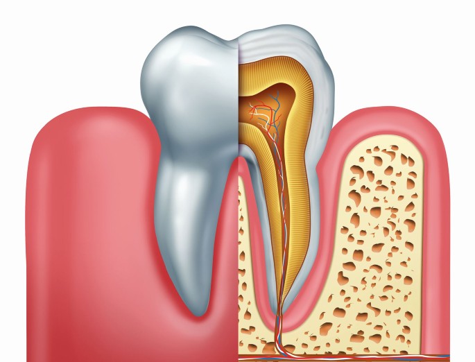 Endodontia: Explorando o Tratamento de Canal em Detalhes